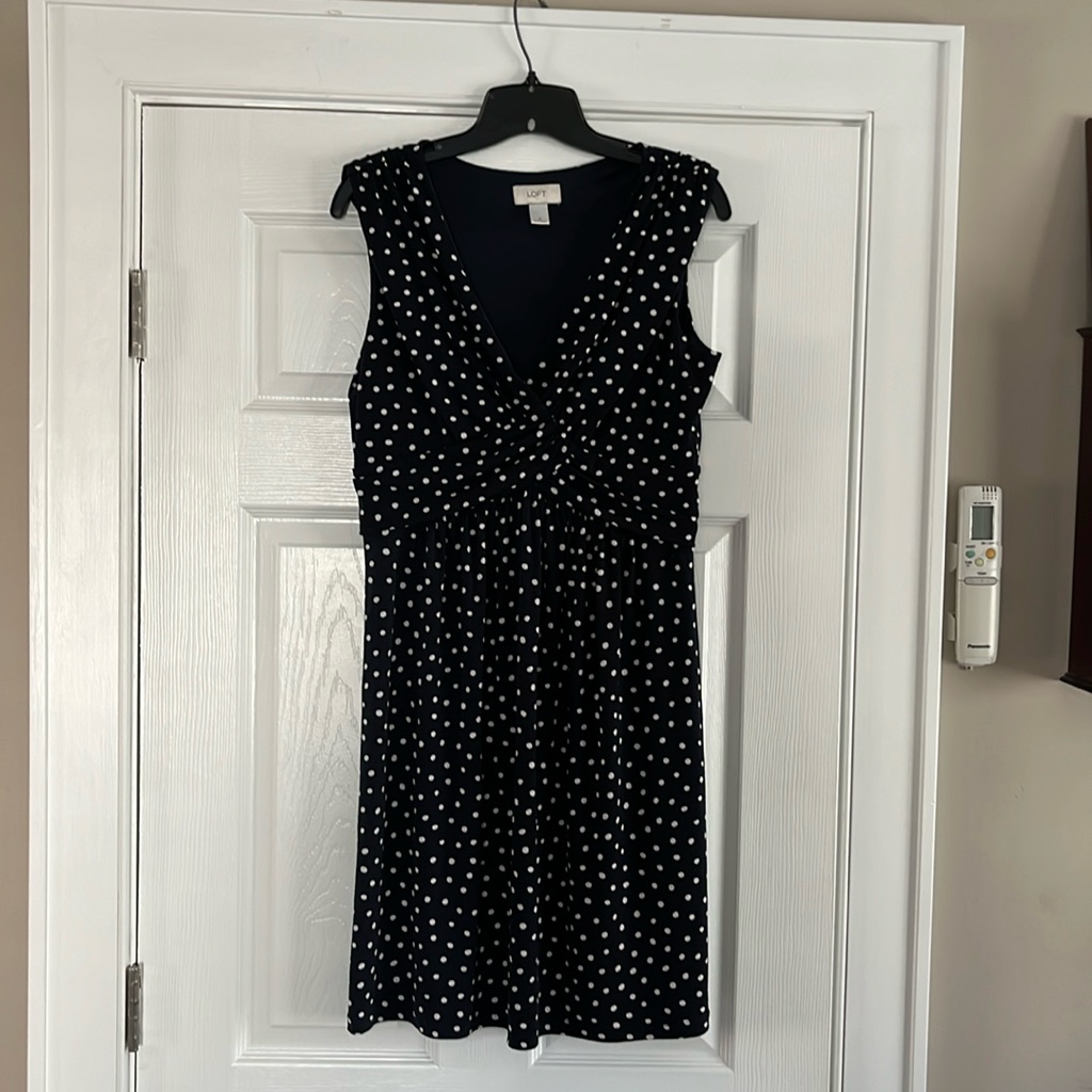 Ann Taylor Loft Dress Size 6